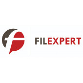 FILEXPERT 91 – Expert-comptable logo