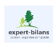 PETIT NICOLAS – Expert-comptable logo