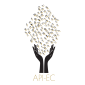 API-EC – Expert-comptable logo
